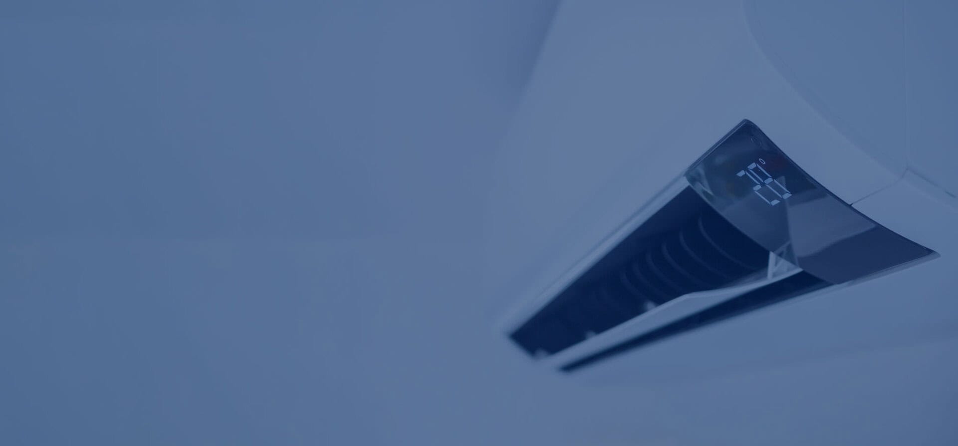 banner 3